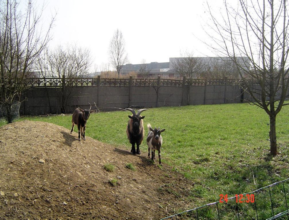 Aux Plumes De Grigy Bed & Breakfast Metz Bagian luar foto